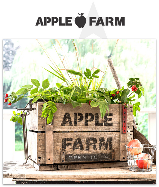 Apple Farm stencil by Funky Junk's Old Sign Stencils. Celebrate your love for fall produce, by painting your own apple farm sign onto wood or old crates! Includes a whimsical apple graphic.