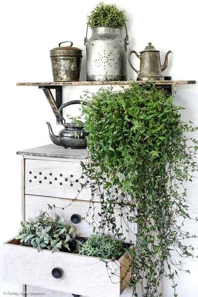 Create vintage vent holes without drilling into your projects with the Vent Holes stencil by Funky Junk's Old Sign Stencils! This 1-piece stencil offers various vintage cupboard ventilation holes or punched tin holes, scaled for larger furniture right down to small tin projects such as plant pots or buckets.